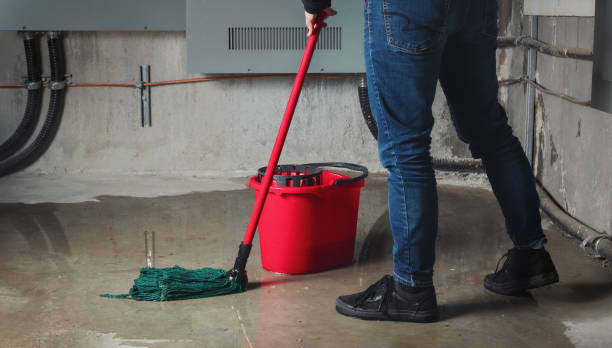 Best Professional water damage repair  in Wadsworth, OH