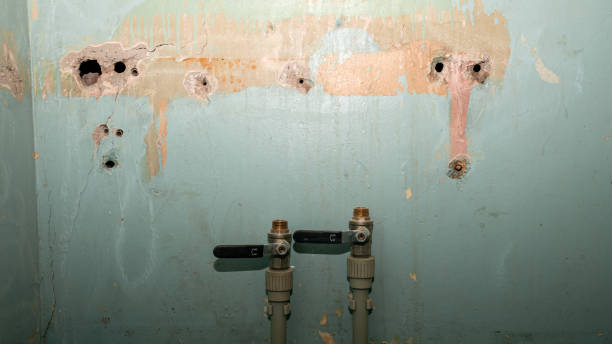 Best Local water damage restoration  in Wadsworth, OH