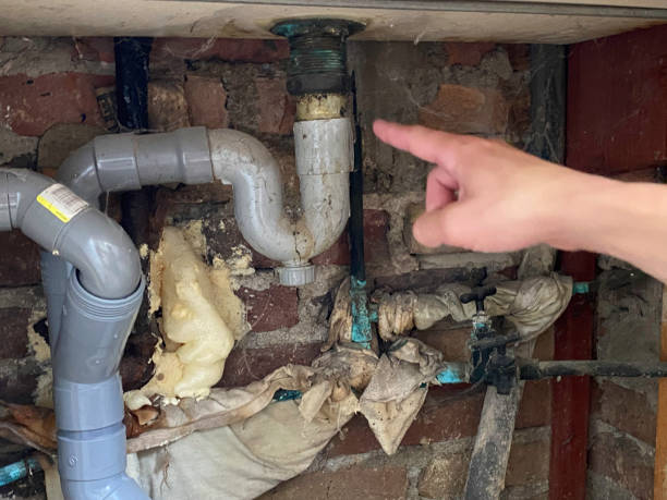 Best Fire Damage Restoration  in Wadsworth, OH