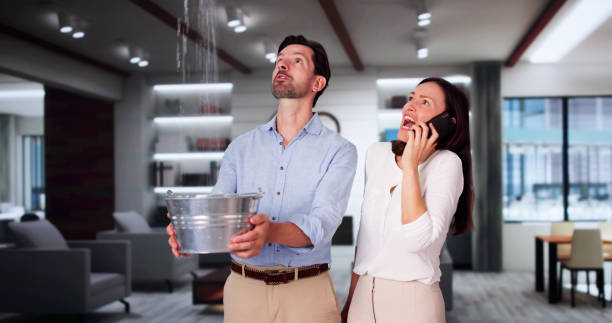 Best Carpet water damage restoration  in Wadsworth, OH