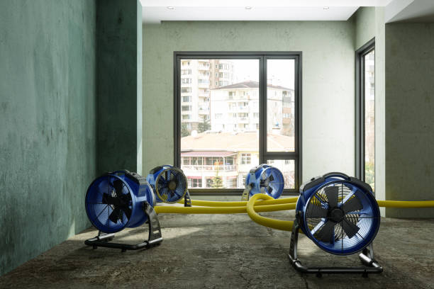 Best Local water damage restoration  in Wadsworth, OH