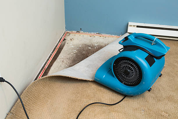 Best Water damage restoration experts  in Wadsworth, OH